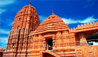puri temple tour