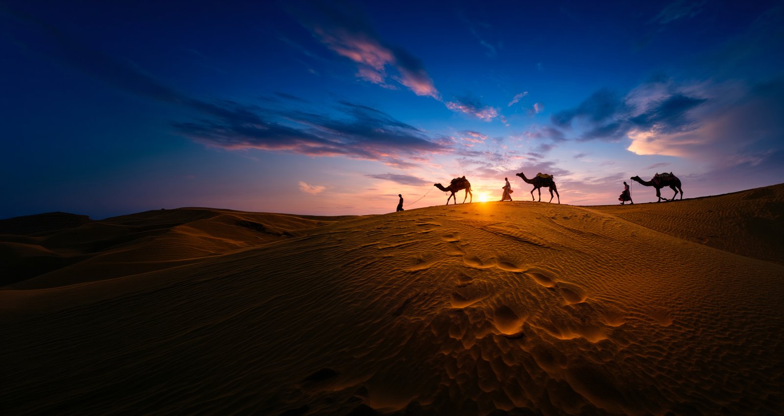 Camel riders at sunset in India